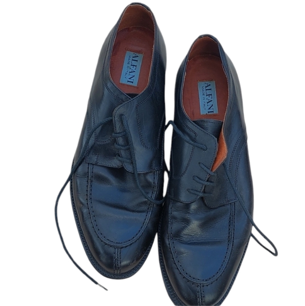 Alfani Shoes
